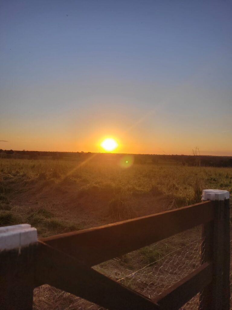 A cidade que cuida ainda não nasceu — mas o sol está a caminho.